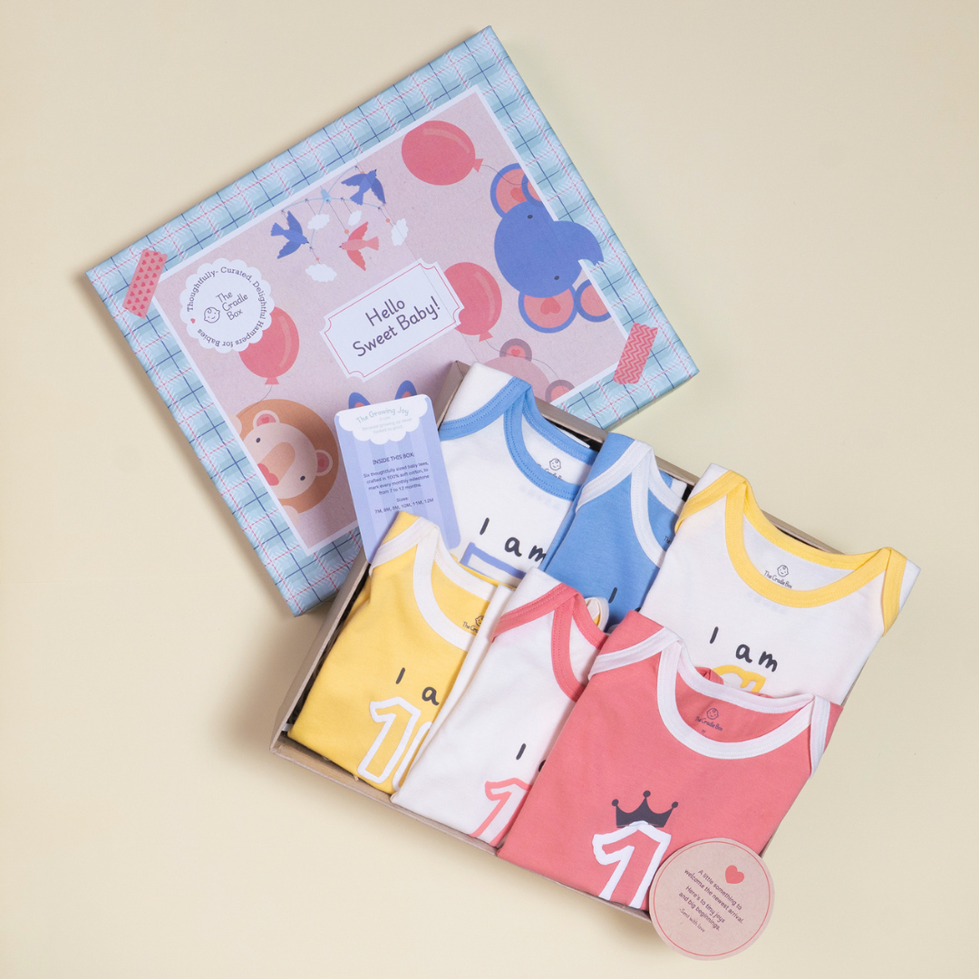 Growing Joy Hamper – Newborn Monthly Milestone tees (7-12 months)