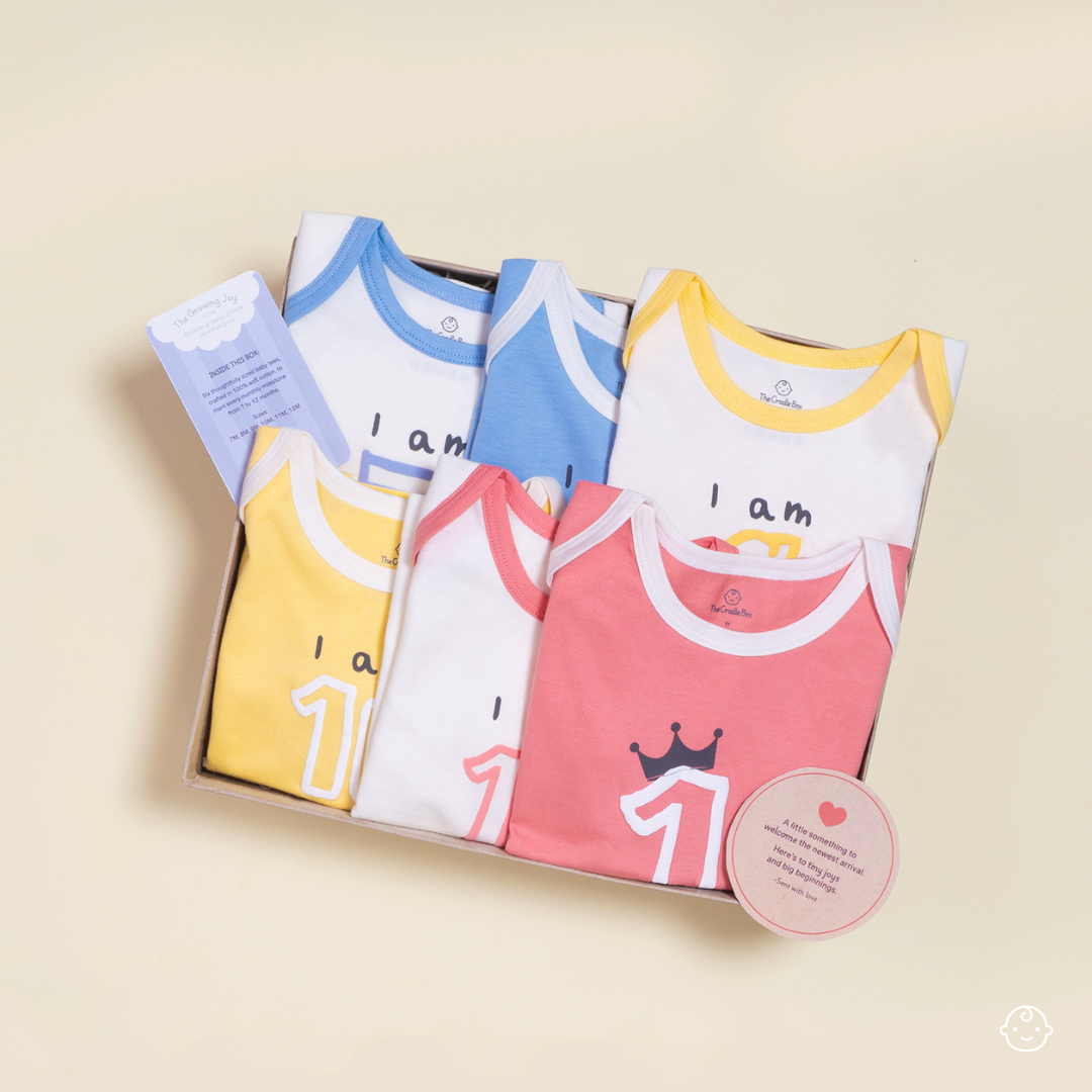 Growing Joy Hamper – Newborn Monthly Milestone tees (7-12 months)