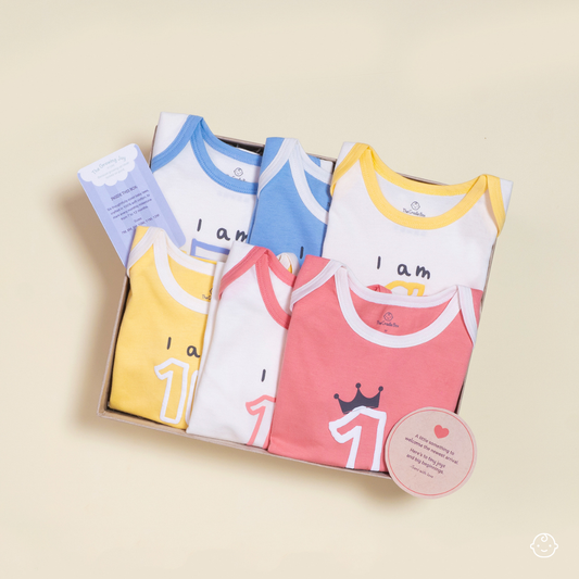 Growing Joy Hamper – Newborn Monthly Milestone tees (7-12 months)