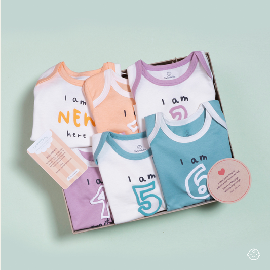 Growing Joy Hamper – Newborn Monthly Milestone tees (0-6 months)