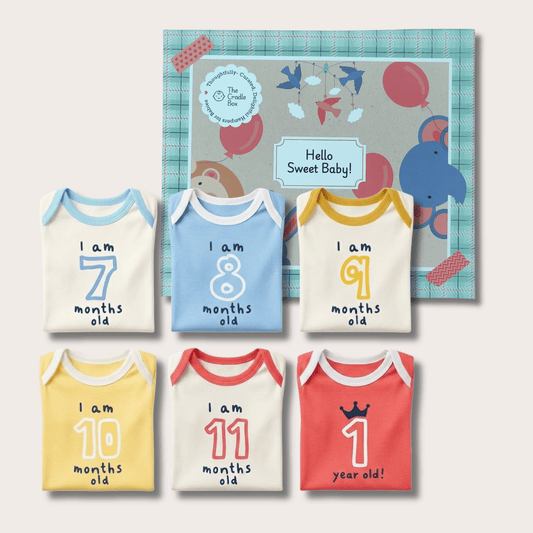 Growing Joy Hamper – Newborn Monthly Milestone tees (7-12 months)